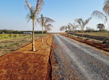 Rural de 3 quartos, Araçoiaba da Serra · Araçoiaba Sitio 65.5 Hectares (Ótimo Local)
