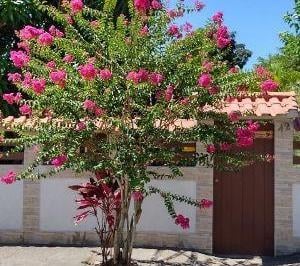 Imagem 1 · Casa