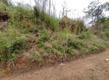 Imagem 1 · Terreno para venda em Centro, Paty do Alferes