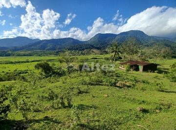 Imagem 1 · Fazenda