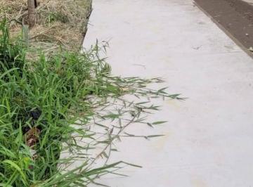 Imagem 1 · Terreno