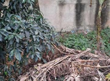 Imagem 1 · Terreno
