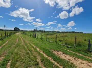 Imagem 1 · Fazenda