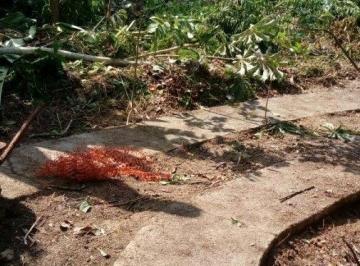 Imagem 1 · Terreno