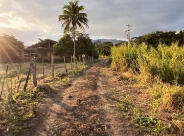 Imagem 1 · Fazenda