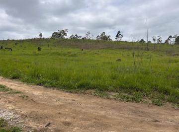 202511111442507741.jpeg · Terreno Rural para Venda em Salesópolis, Alegre