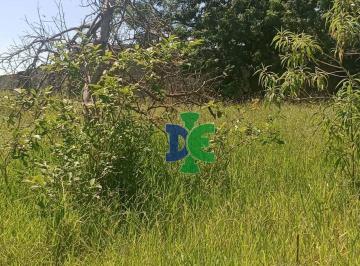 2a4bc7225394d9ff813b1837fa0cb645988c96f1 · Terreno à venda, 166 m² por R$ 75.000,00 - Chácaras Reunidas Igarapés - Jacareí/SP