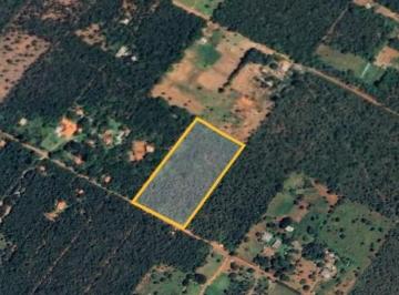 Foto 06 · Chácara DF 140 km 14, Mansões Fazendárias com 2 hectares Venda