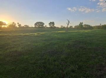 Rural · 25511m² · Sítio em Centro, Jaguariúna/SP de 0m² à venda por R$ 1.200.000,00
