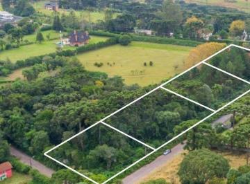 Foto 1 · 
                    Terreno à venda, 8260 m² por R$ 3.549.000,00 - Alphaville Graciosa - Pinhais/PR