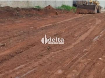 Terreno · 300m² · Terreno disponível para venda no bairro Shopping Park em Uberlândia - MG