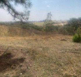ygvjeg82otexzmm5mze3ndvj_md · Área Rural para Venda ou Arrendamento em Sorocaba