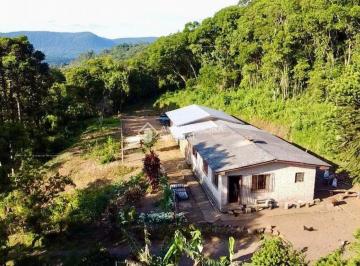 Rural · 60000m² · Rurais à venda - em São Francisco de Paula