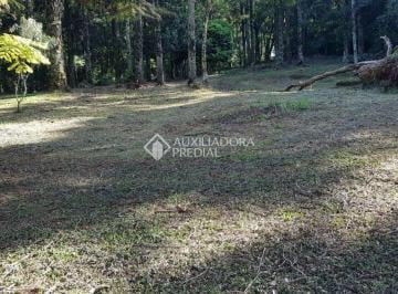 1 · Terreno urbano todo plano a venda em Linha Imperial, Nova Petrópolis - RS