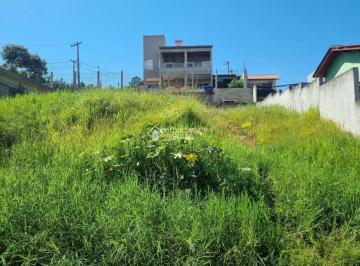 Terreno · 250m² · Auxiliadora Predial