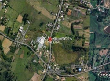 Rural · 150000m² · 1 Quarto · Propriedade Rural no bairro Morungava