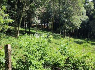 Terreno · 1699m² · Terreno à venda em Canela, RS - Centro
