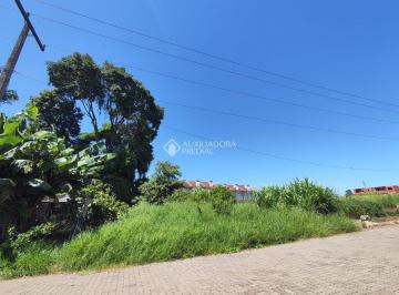 Terreno · 445m² · TERRENO MEIO DE QUADRA NO UNIVERSITÁRIO