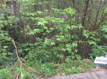 lote30. · Terreno urbano em bairro tranquilo em Nova Petrópolis RS