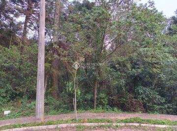 lote 25 e parte do 26 · Amplo terreno ensolarado em Nova Petrópolis - RS