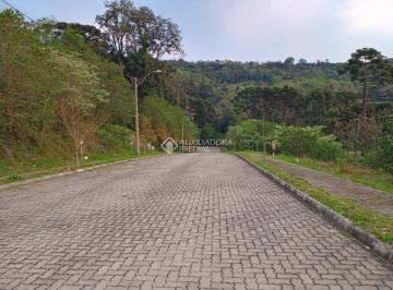 Rua Bosque das Coníferas do começo até o final · Terreno em rua silenciosa em Nova Petrópolis RS