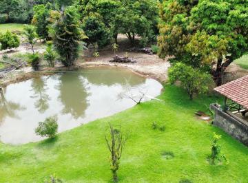 Rural , Goiás · FAZENDA EM COCALZINHO 40 ALQUEIRES