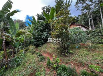 243a0412b64cb7040ef6a9726c922d8fcee9a001 · Terreno à venda, 650 m² por R$ 320.000,00 - São Pedro da Serra - Nova Friburgo/RJ