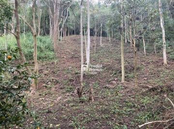 2e6bab1f449a63b393b64fdf03e3c562bf79ef7a · Terreno à venda, 1533 m² por R$ 200.000,00 - Parque Dom João VI - Nova Friburgo/RJ