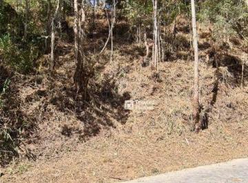 91a62bd85a182c5db9f351cdeffab35e930671a4 · Terreno à venda, 650 m² por R$ 180.000,00 - Parque São Clemente - Nova Friburgo/RJ