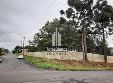 Terreno · 10962m² · Terreno em Jardim Carvalho, Ponta Grossa/PR de 10962m² à venda por R$ 8.770.000,00