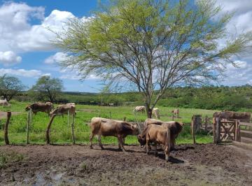 20220806141657711.jpg · Lote para Venda em Macaíba, Área Rural de Macaíba
