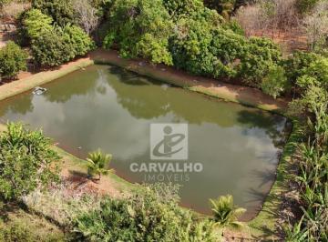 a0f19b2f9296cea652d · Chácara a venda em Terezóplis-GO
