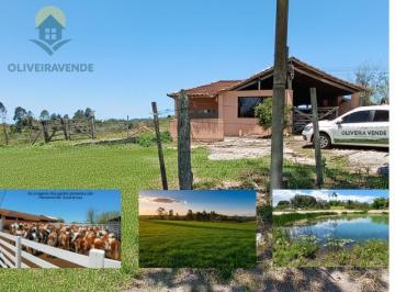202511122114524905.jpg · Fazenda para Venda em Araruama, São Vicente de Paula, 2 dormitórios, 2 banheiros, 2 vagas