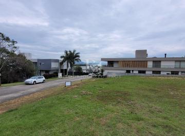 20241119_094445-17497380906524.jpg · Terreno - Cacupé, Florianópolis - SC