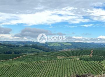 Rural · 165ha · Fazenda produtiva à venda em Guaxupé/MG
