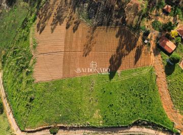 Terreno · 24200m² · Terreno à Venda em Toledo MG 24.200 m  com Escritura com vista panorâmica
