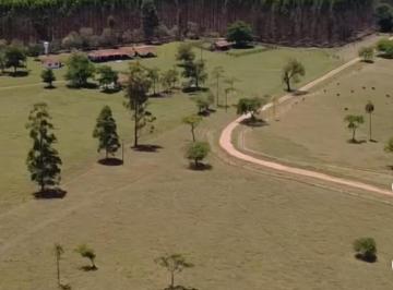 Foto 01 · Sítio/Fazenda à Venda, 148 alqueires por R$ 35.000.000 Cód. ch2530