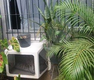 Imagem 1 · Casa