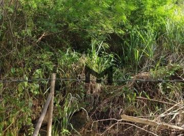 Imagem 1 · Terreno para venda em Piratininga, Niterói
