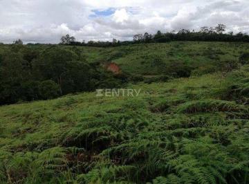 Terreno · Terreno Residencial / 5.000 metros/ Residencial São Domingos
