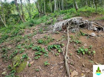 Terreno · 4100m² · Terreno à venda, Reino-Ilhabela