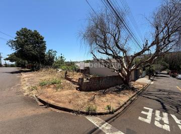 Foto 12 · TERRENO À VENDA NO JOÃO PAULO EM APUCARANA.