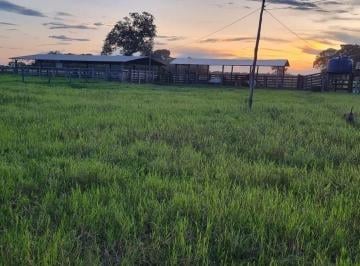 Foto 01 · Fazenda à venda em Cocalinho-MT, Zona Rural: 3 quartos, 2 salas, 2 banheiros, 3 vagas de garagem e 3