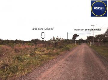Terreno · 10650m² · Area para Venda - 10650m², 0 dormitórios, Balneário Atlântico