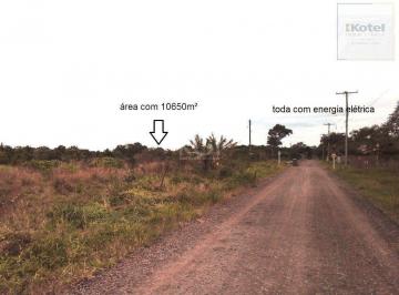 Terreno · 10650m² · Area para Venda - 10650m², 0 dormitórios, Balneário Atlântico