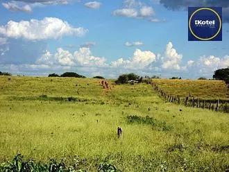 Rural · 40000m² · 2 Quartos · 2 Vagas · Sítio em Triunfo