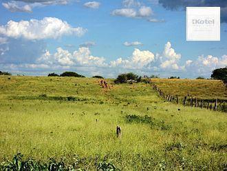 Rural · 40000m² · 2 Quartos · 2 Vagas · Sítio em Triunfo