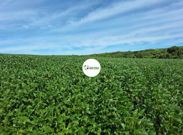 Rural , Ipameri · Fazenda a venda em Ipameri-GO - 162 HA - Ótimo para lavoura - Safra e Safrinha