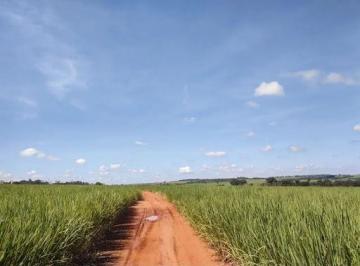 97f0cb4b7d258c98fc196b6704545eac7034aa7f · Fazenda à venda, 1155790 m² por R$ 17.417.600,00 - Zona Rural - Barretos/SP