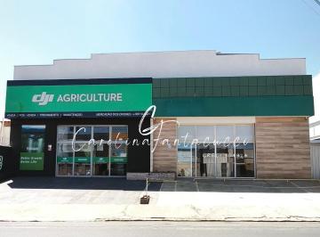 Comercial , Mogi Mirim · GALPÃO COMERCIAL A VENDA RUA PADRE ROQUE MOGI MIRIM